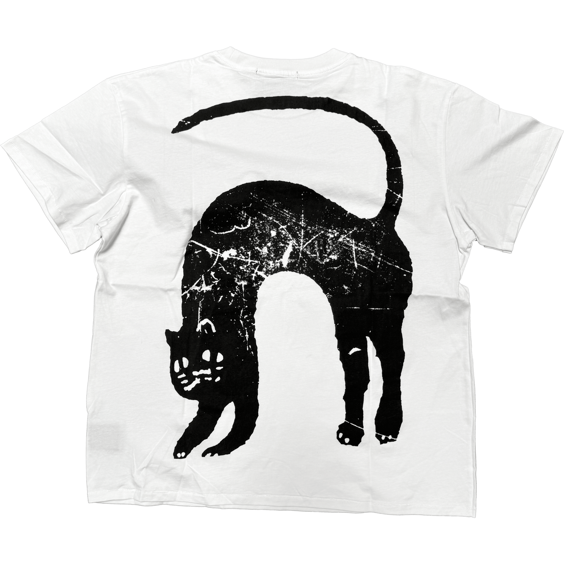 CATVISU TEE - angeltype