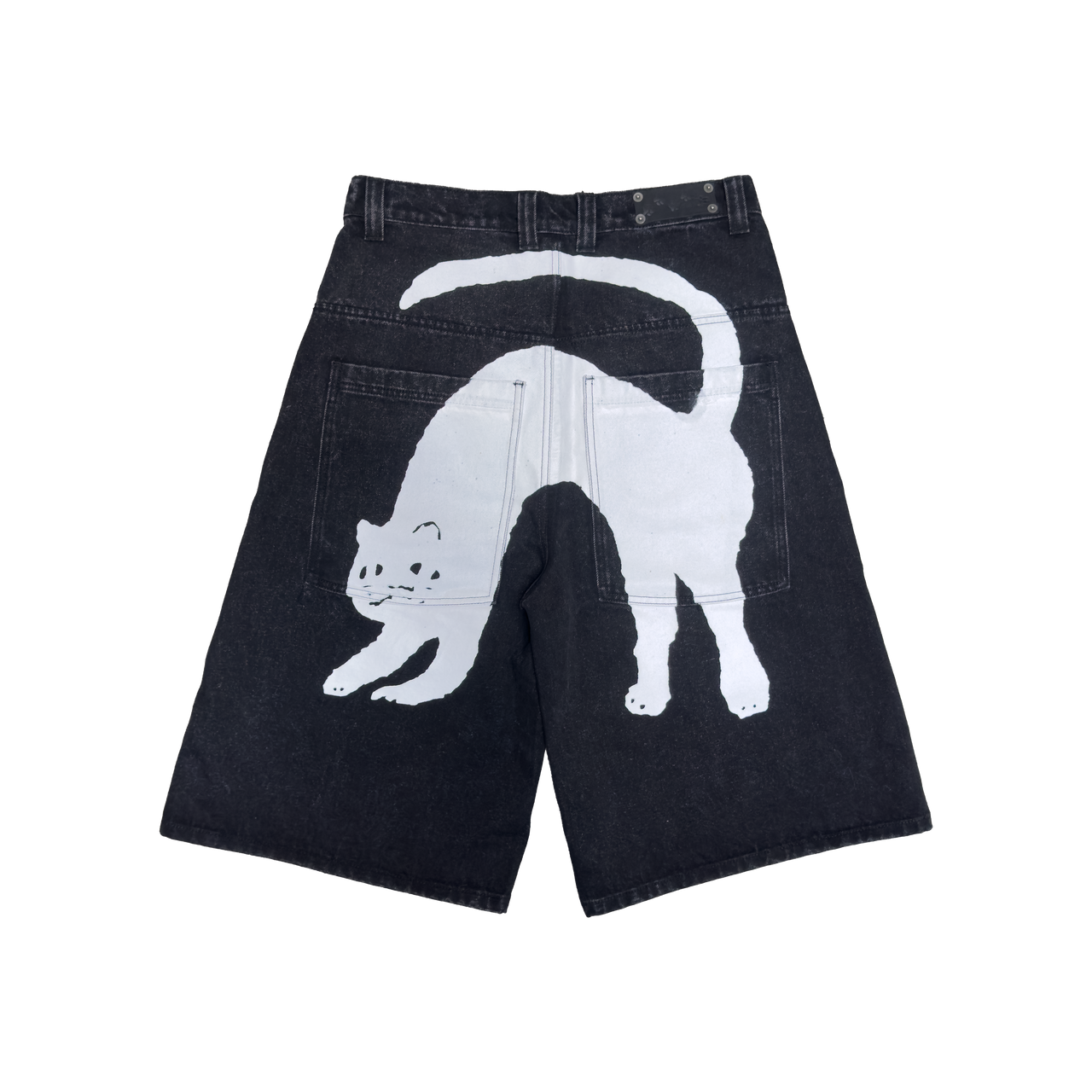 CATVISU JORTS