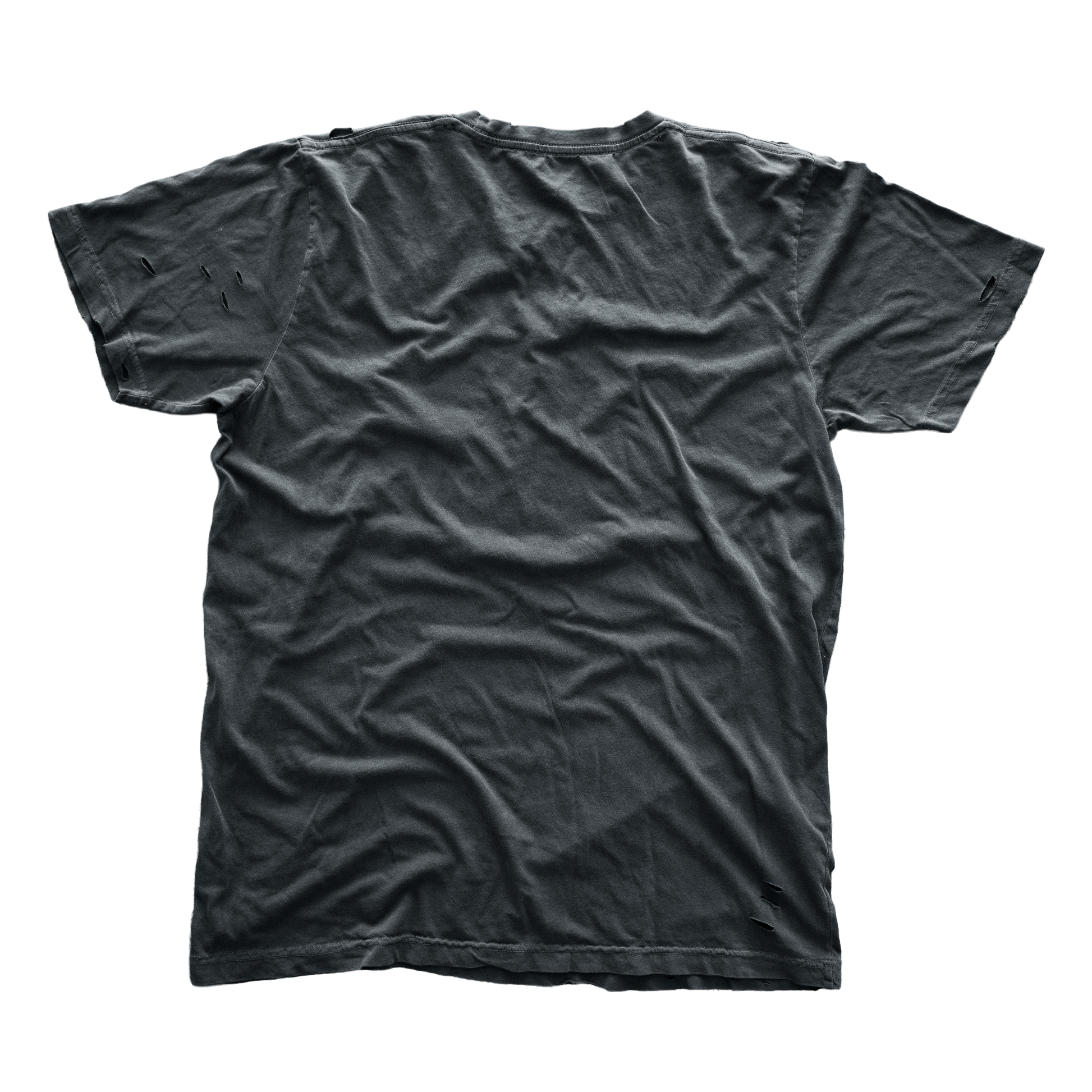 Mind Rot Tee