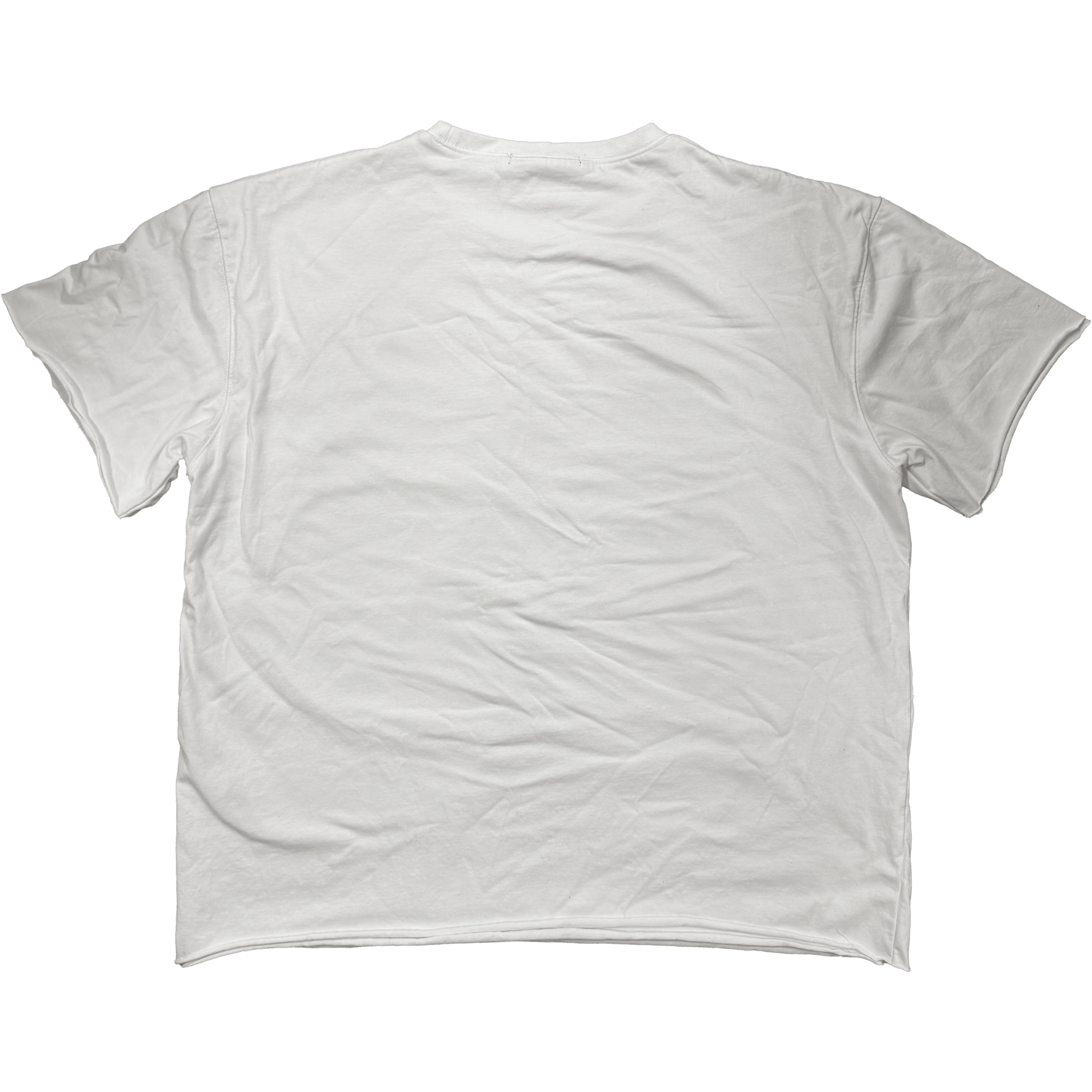 (A) 2-LAYER [360GSM] BLANK TEE - angeltype