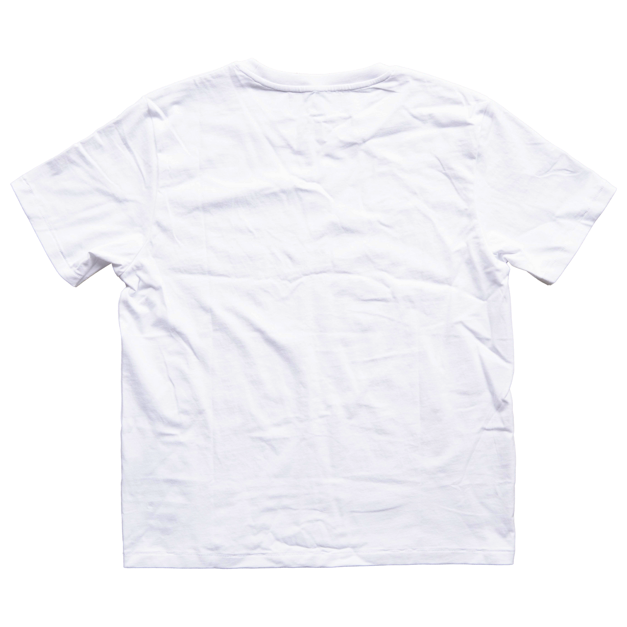 HOLLAND LOP TEE 3.0 (REVERSE)