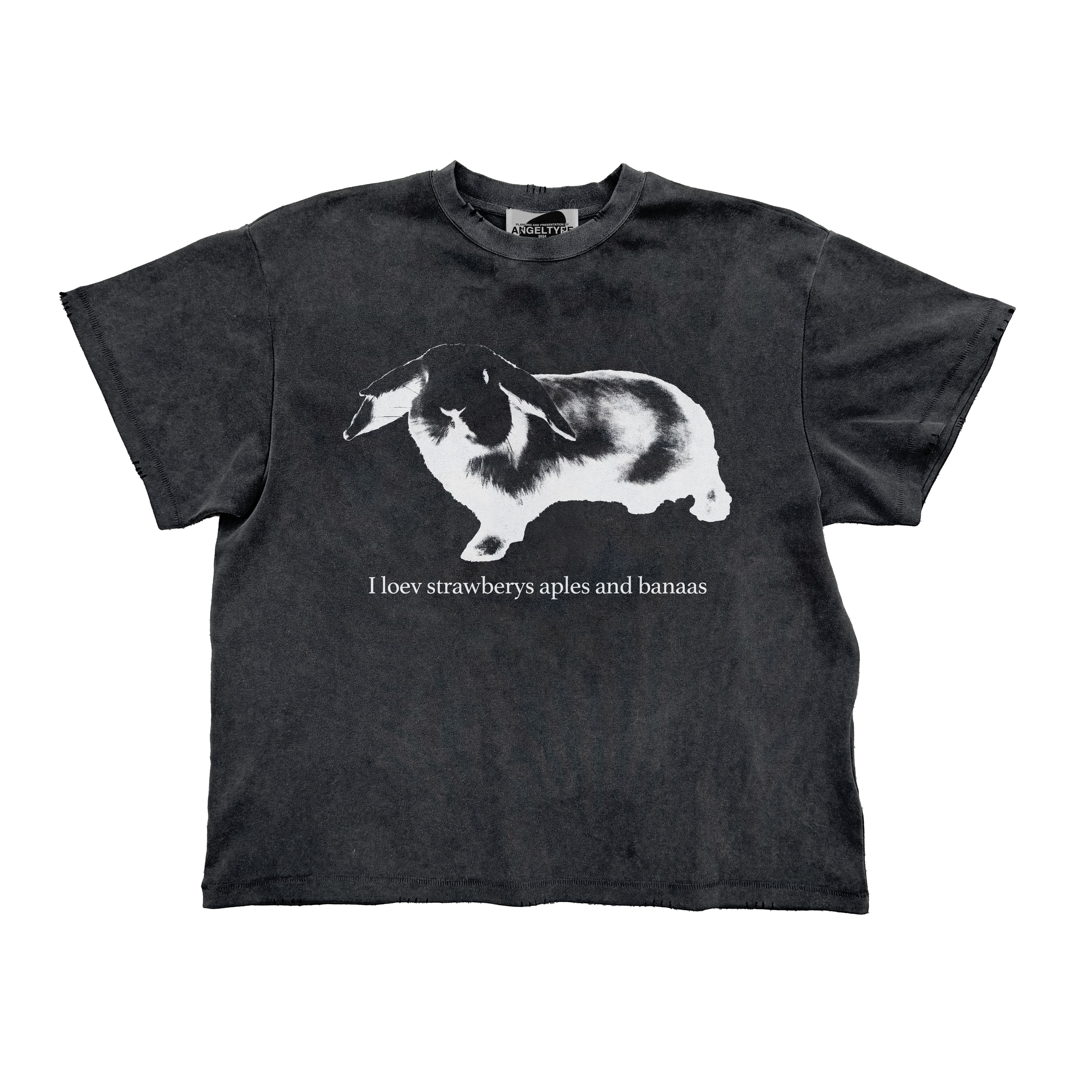 (A) HOLLAND LOP TEE
