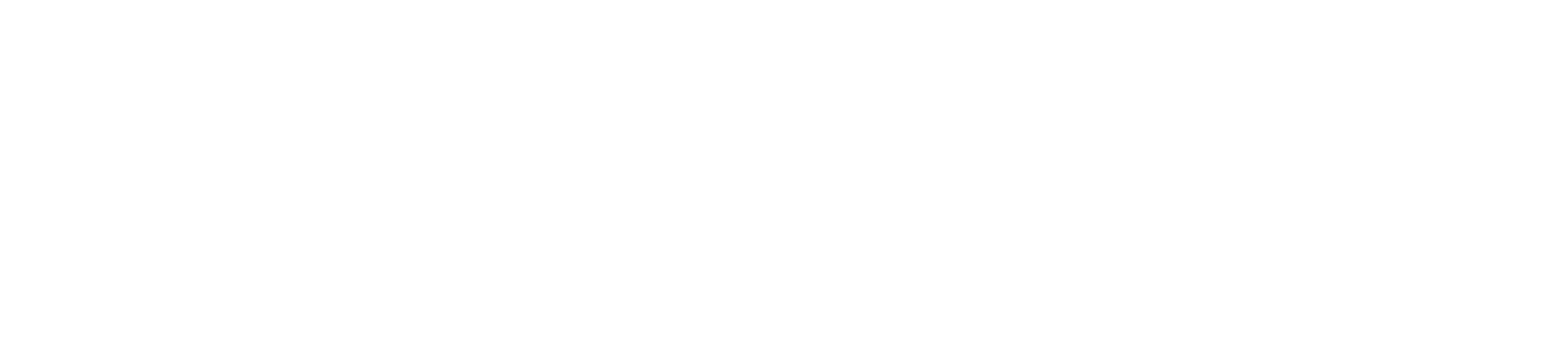 ANGELtype
